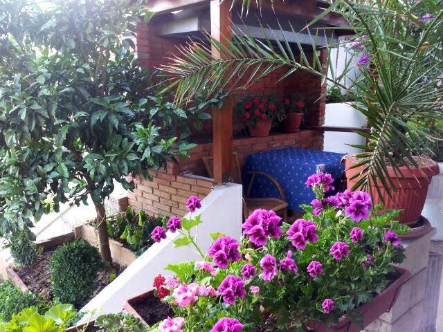 Firenze Apartments Ulcinj Exterior photo
